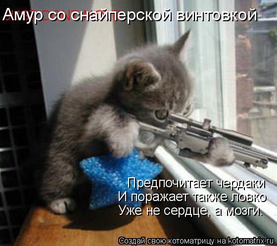 Амур со снайперской винтовкой Предпочитает чердаки И поражает также ловко Уже не сердце, а мозги.... Котоматрица: Амур со снайперской винтовкой Предпочитает чердаки И поражает также ловко Уже не сердце, а мозги.
