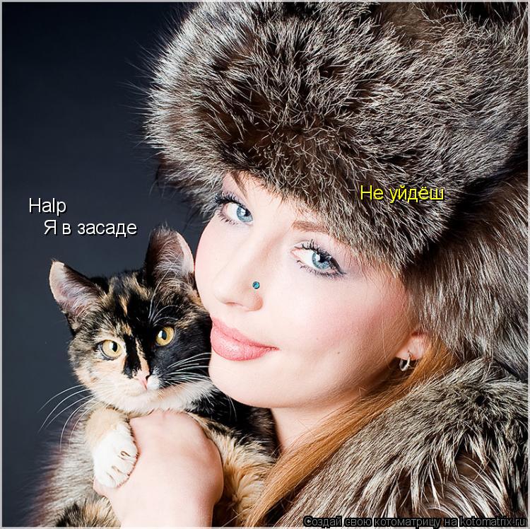 Halp Я в засаде Не уйдёш... Котоматрица: Halp Я в засаде Не уйдёш
