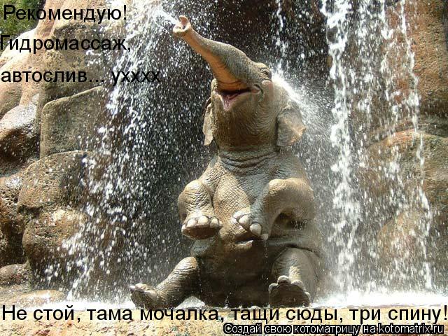Рекомендую! Гидромассаж, автослив... ухххх Не стой, тама мочалка, тащи сюды, три спину!... Котоматрица: Рекомендую! Гидромассаж, автослив... ухххх Не стой, тама мочалка, тащи сюды, три спину!