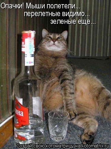 Опачки! Мыши полетели... перелетные видимо... зеленые еще...... Котоматрица: Опачки! Мыши полетели... перелетные видимо... зеленые еще...