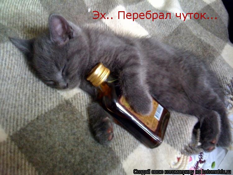 Эх.. Перебрал чуток...... Котоматрица: Эх.. Перебрал чуток...