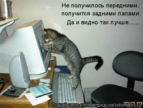 Не получилось передними, получится задними лапами. Да и видно так лучше......... Котоматрица: Не получилось передними, получится задними лапами. Да и видно так лучше......