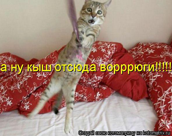 а ну кыш отсюда ворррюги!!!!!!... Котоматрица: а ну кыш отсюда ворррюги!!!!!!