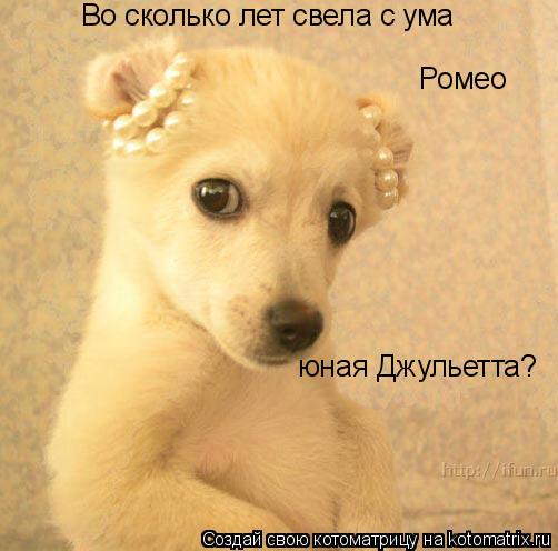 Котоматрица: Во сколько лет свела с ума Ромео юная Джульетта?