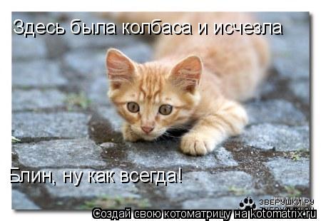 Здесь была колбаса и исчезла Блин, ну как всегда!... Котоматрица: Здесь была колбаса и исчезла Блин, ну как всегда!