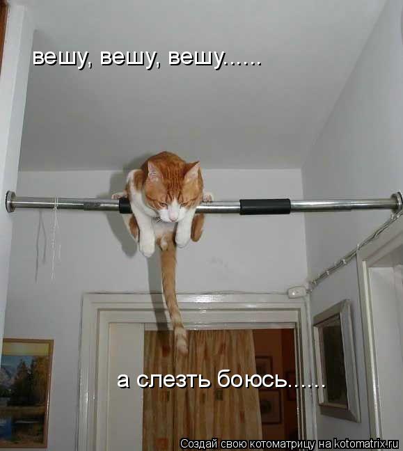 вешу, вешу, вешу...... а слезть боюсь......... Котоматрица: вешу, вешу, вешу...... а слезть боюсь......