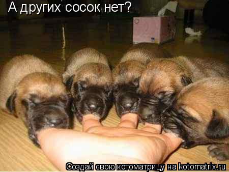 А других сосок нет?... Котоматрица: А других сосок нет?