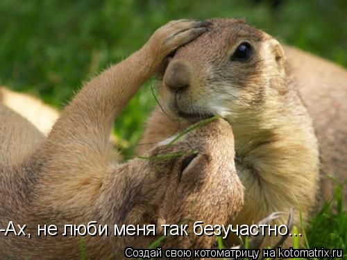 -Ах, не люби меня так безучастно...... Котоматрица: -Ах, не люби меня так безучастно...