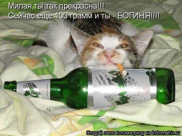 Милая,ты так прекрасна!!! Сейчас еще 100 грамм и ты - БОГИНЯ!!!!... Котоматрица: Милая,ты так прекрасна!!! Сейчас еще 100 грамм и ты - БОГИНЯ!!!!