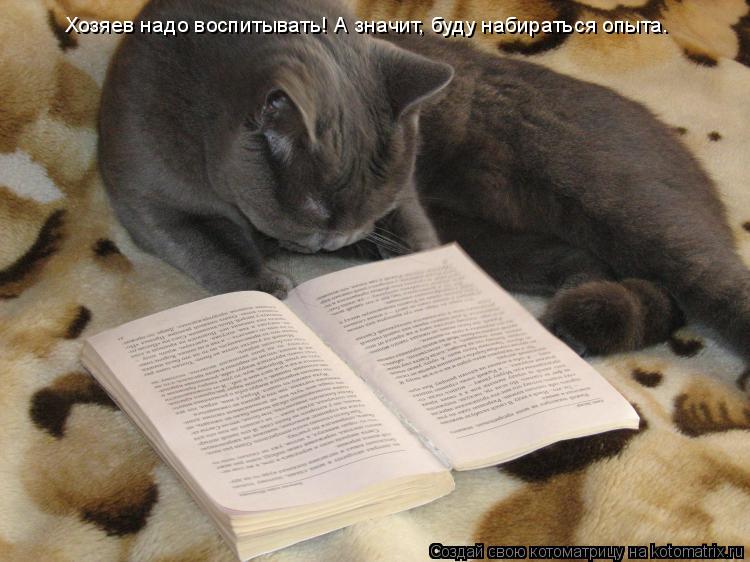 Хозяев надо воспитывать! А значит, буду набираться опыта.... Котоматрица: Хозяев надо воспитывать! А значит, буду набираться опыта.