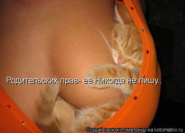 Родительских прав- её Никогда не лишу..... Котоматрица: Родительских прав- её Никогда не лишу..