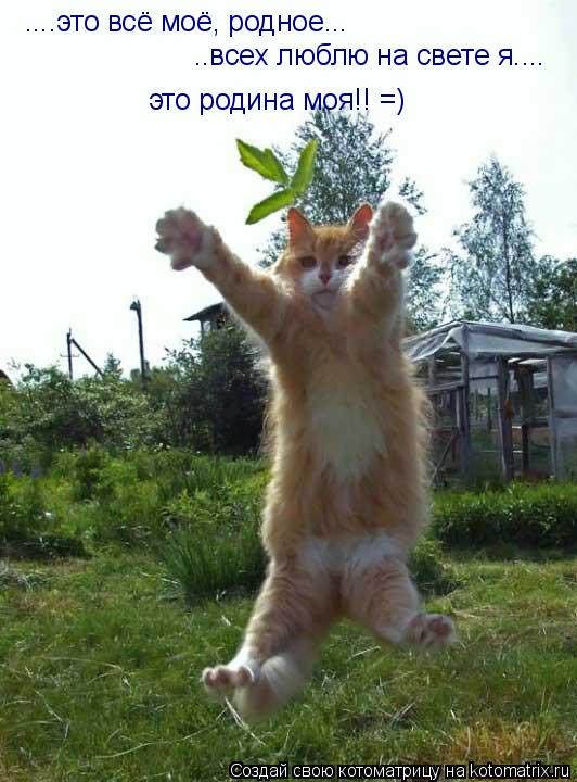 ....это всё моё, родное... ..всех люблю на свете я.... это родина моя!! =)... Котоматрица: ....это всё моё, родное... ..всех люблю на свете я.... это родина моя!! =)