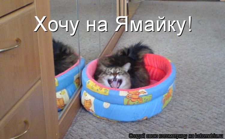 Хочу на Ямайку!... Котоматрица: Хочу на Ямайку!