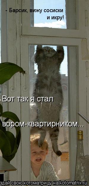 - Барсик, вижу сосиски и икру! Вот так я стал вором-квартирником...... Котоматрица: - Барсик, вижу сосиски и икру! Вот так я стал вором-квартирником...