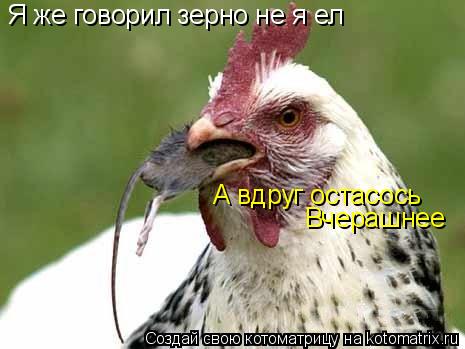 Я же говорил зерно не я ел А вдруг остасось Вчерашнее... Котоматрица: Я же говорил зерно не я ел А вдруг остасось Вчерашнее