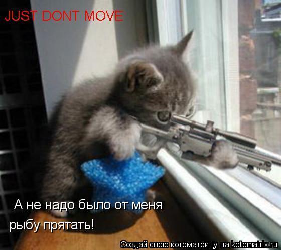 А не надо было от меня рыбу прятать!... Котоматрица: А не надо было от меня рыбу прятать!