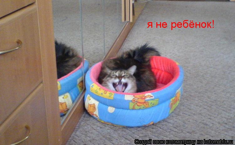 я не ребёнок!... Котоматрица: я не ребёнок!