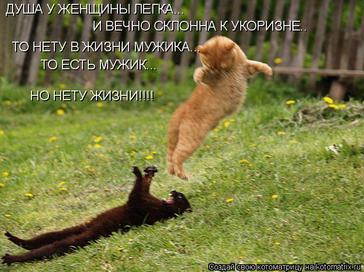 ДУША У ЖЕНЩИНЫ ЛЕГКА... И ВЕЧНО СКЛОННА К УКОРИЗНЕ.. ТО НЕТУ В ЖИЗНИ МУЖИКА... ТО ЕСТЬ МУЖИК... НО НЕ... Котоматрица: ДУША У ЖЕНЩИНЫ ЛЕГКА... И ВЕЧНО СКЛОННА К УКОРИЗНЕ.. ТО НЕТУ В ЖИЗНИ МУЖИКА... ТО ЕСТЬ МУЖИК... НО НЕТУ ЖИЗНИ!!!!
