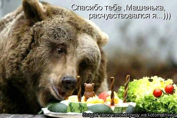 Спасибо тебе ,Машенька, расчувствовался я...)))... Котоматрица: Спасибо тебе ,Машенька, расчувствовался я...)))