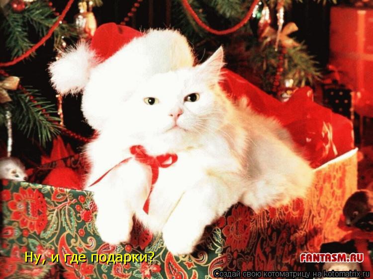Ну, и где подарки?... Котоматрица: Ну, и где подарки?
