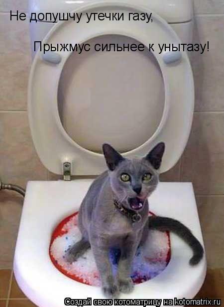 Не допушчу утечки газу, Прыжмус сильнее к унытазу!... Котоматрица: Не допушчу утечки газу, Прыжмус сильнее к унытазу!