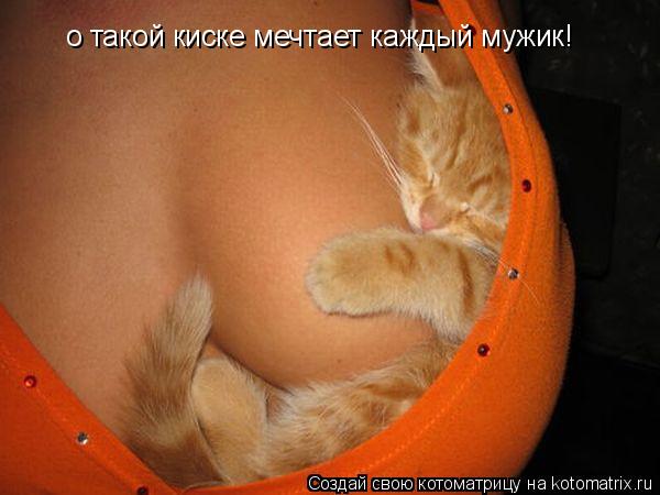 о такой киске мечтает каждый мужик!... Котоматрица: о такой киске мечтает каждый мужик!