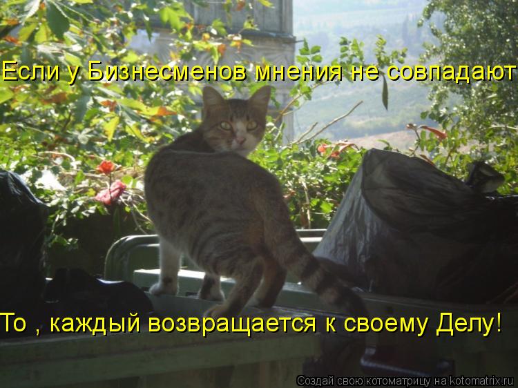 Если у Бизнесменов мнения не совпадают То , каждый возвращается к своему Делу!... Котоматрица: Если у Бизнесменов мнения не совпадают То , каждый возвращается к своему Делу!