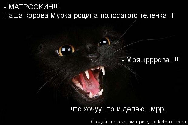 - МАТРОСКИН!!! Наша корова Мурка родила полосатого теленка!!! - Моя крррова!!!! что хочуу...то и дел... Котоматрица: - МАТРОСКИН!!! Наша корова Мурка родила полосатого теленка!!! - Моя крррова!!!! что хочуу...то и делаю...мрр..