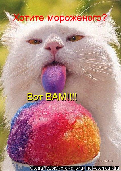 Хотите мороженого? Вот ВАМ!!!!... Котоматрица: Хотите мороженого? Вот ВАМ!!!!