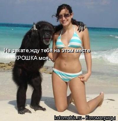 На закате,жду тебя на этом месте КРОШКА моя...... Котоматрица: На закате,жду тебя на этом месте КРОШКА моя...