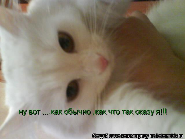 Котоматрица: ну вот ....как обычно ,как что так сказу я!!!