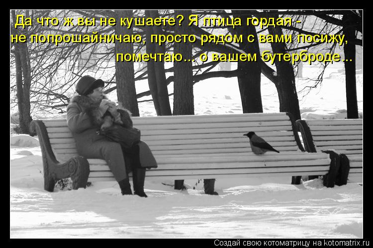 Да что ж вы не кушаете? Я птица гордая - не попрошайничаю, просто рядом с вами посижу, помечтаю... ... Котоматрица: Да что ж вы не кушаете? Я птица гордая - не попрошайничаю, просто рядом с вами посижу, помечтаю... о вашем бутерброде...