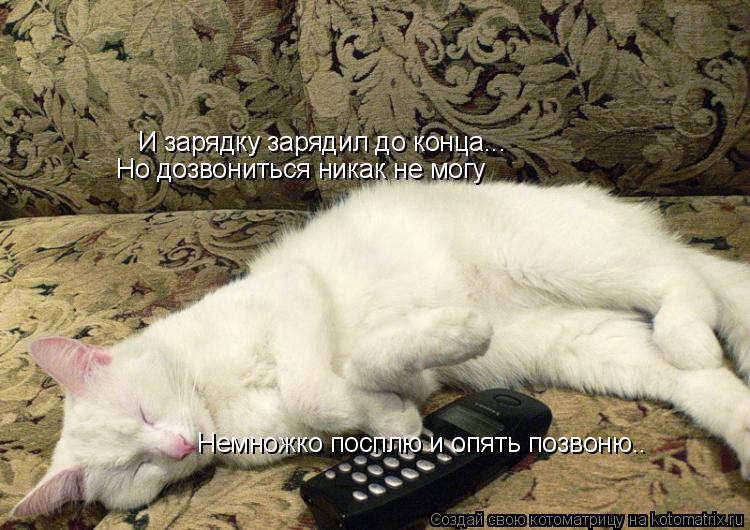 И зарядку зарядил до конца... Но дозвониться никак не могу Немножко посплю и опять позвоню..... Котоматрица: И зарядку зарядил до конца... Но дозвониться никак не могу Немножко посплю и опять позвоню..