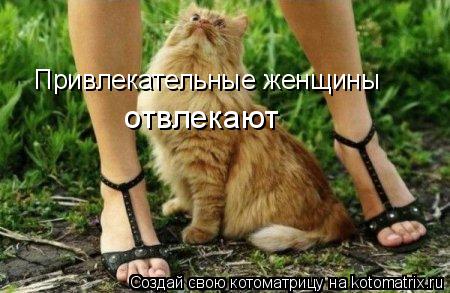 Привлекательные женщины отвлекают... Котоматрица: Привлекательные женщины отвлекают