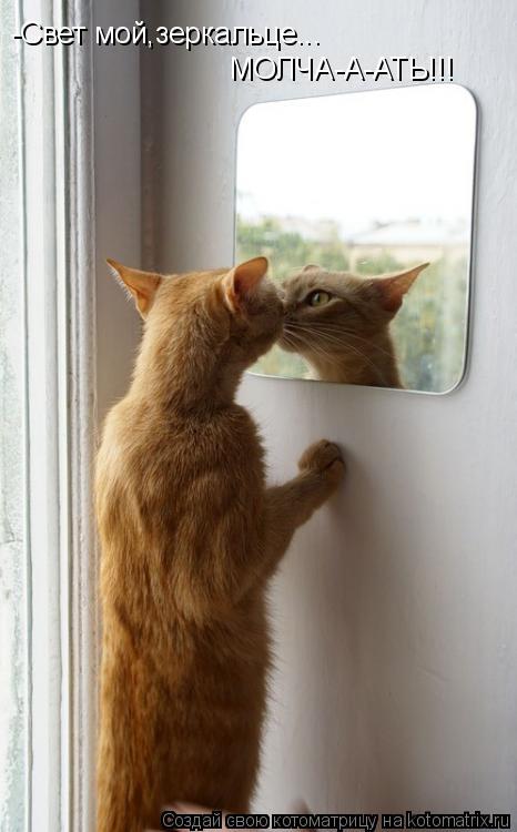 -Свет мой,зеркальце... МОЛЧА-А-АТЬ!!!... Котоматрица: -Свет мой,зеркальце... МОЛЧА-А-АТЬ!!!