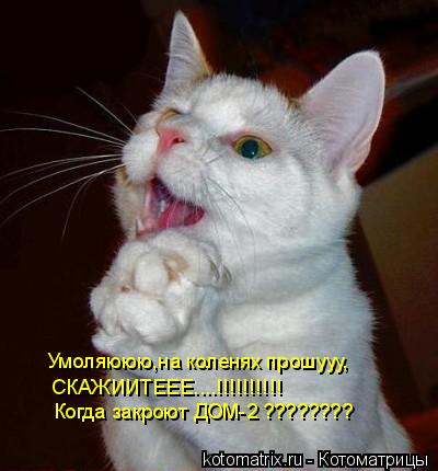 Умоляююю,на коленях прошууу, СКАЖИИТЕЕЕ....!!!!!!!!!! Когда закроют ДОМ-2 ????????... Котоматрица: Умоляююю,на коленях прошууу, СКАЖИИТЕЕЕ....!!!!!!!!!! Когда закроют ДОМ-2 ????????