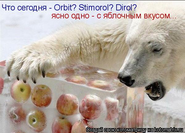 Что сегодня - Orbit? Stimorol? Dirol? ясно одно - с яблочным вкусом...... Котоматрица: Что сегодня - Orbit? Stimorol? Dirol? ясно одно - с яблочным вкусом...
