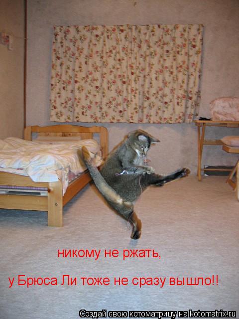 никому не ржать, у Брюса Ли тоже не сразу вышло!!... Котоматрица: никому не ржать, у Брюса Ли тоже не сразу вышло!!