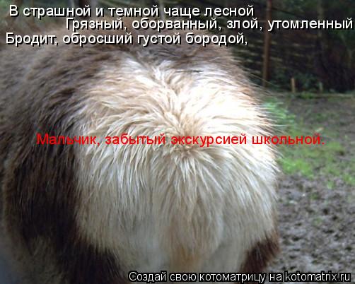 В страшной и темной чаще лесной Грязный, оборванный, злой, утомленный Бродит, обросший густой бород... Котоматрица: В страшной и темной чаще лесной Грязный, оборванный, злой, утомленный Бродит, обросший густой бородой, Мальчик, забытый экскурсией школьно