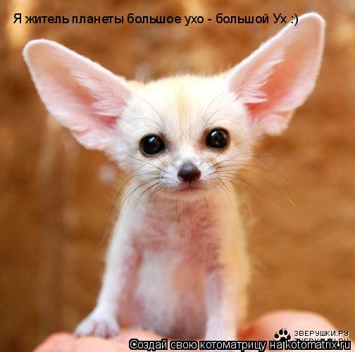 Я житель планеты большое ухо - большой Ух :)... Котоматрица: Я житель планеты большое ухо - большой Ух :)