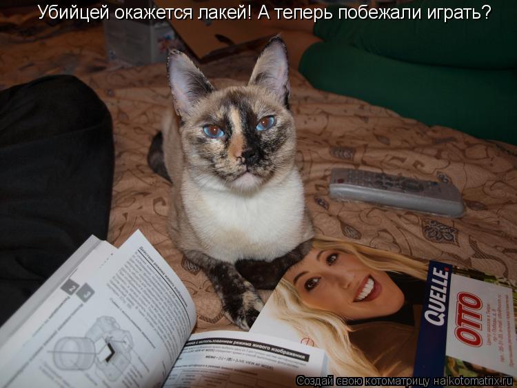 Убийцей окажется лакей! А теперь побежали играть?... Котоматрица: Убийцей окажется лакей! А теперь побежали играть?