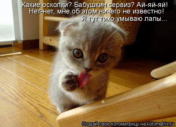 Какие осколки? Бабушкин сервиз? Ай-яй-яй! Нет-нет, мне об этом ничего не известно! Я тут тихо умываю ... Котоматрица: Какие осколки? Бабушкин сервиз? Ай-яй-яй! Нет-нет, мне об этом ничего не известно! Я тут тихо умываю лапы...