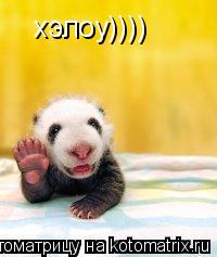 хэлоу))))... Котоматрица: хэлоу))))