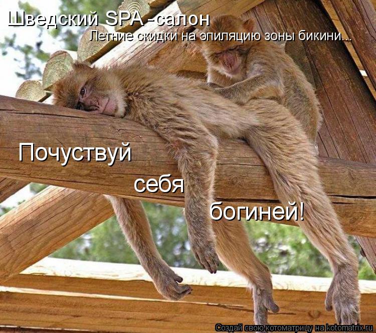 Шведский SPA -салон Почуствуй себя богиней! Летние скидки на эпиляцию зоны бикини...... Котоматрица: Шведский SPA -салон Почуствуй себя богиней! Летние скидки на эпиляцию зоны бикини...