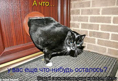 А что... у вас еще что-нибудь осталось?... Котоматрица: А что... у вас еще что-нибудь осталось?