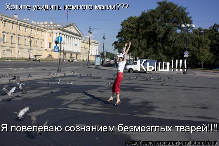 Хотите увидить немного магии??? Кыш!!!! Я повелеваю сознанием безмозглых тварей!!!!... Котоматрица: Хотите увидить немного магии??? Кыш!!!! Я повелеваю сознанием безмозглых тварей!!!!