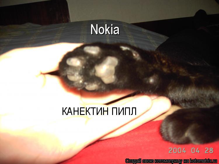 Nokia КАНЕКТИН ПИПЛ... Котоматрица: Nokia КАНЕКТИН ПИПЛ