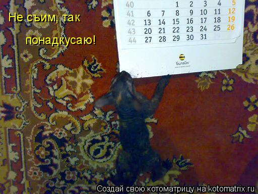 Не съим, так понадкусаю!... Котоматрица: Не съим, так понадкусаю!