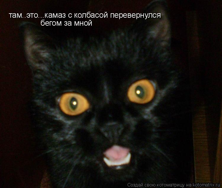 там..это...камаз с колбасой перевернулся бегом за мной... Котоматрица: там..это...камаз с колбасой перевернулся бегом за мной