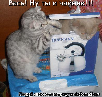 Вась! Ну ты и чайник!!!... Котоматрица: Вась! Ну ты и чайник!!!